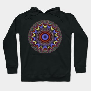 Fractal Pattern 1 Hoodie